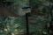 tn_view