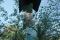 tn_view