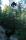 tn_view