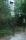 tn_view