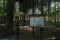 tn_view