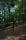 tn_view