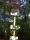 tn_view