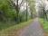 tn_view