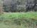 tn_view