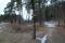 tn_view