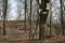 tn_view