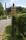 tn_view