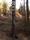 tn_view