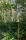 tn_view