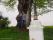 tn_view