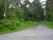 tn_view