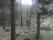 tn_view
