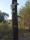 tn_view