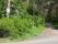 tn_view