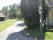tn_view