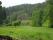 tn_view