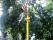 tn_view