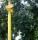 tn_view