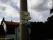 tn_view