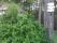 tn_view