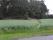 tn_view