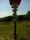 tn_view