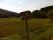tn_view