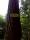tn_view