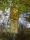 tn_view