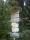 tn_view