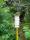tn_view