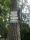 tn_view