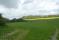 tn_view