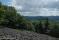 tn_view