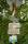 tn_view
