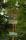 tn_view