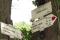tn_view