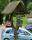 tn_view