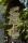 tn_view