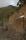 tn_view