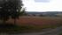 tn_view