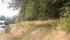 tn_view