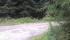 tn_view