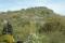 tn_view