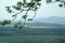 tn_view