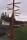 tn_view