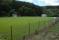 tn_view