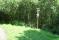 tn_view