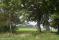 tn_view